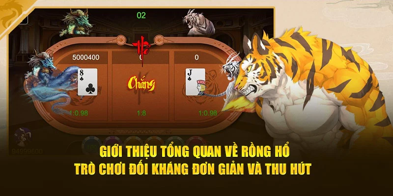 Giới thiệu tổng quan về Rồng Hổ - trò chơi đối kháng đơn giản và thu hút 